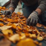Autumn Roof Maintenance