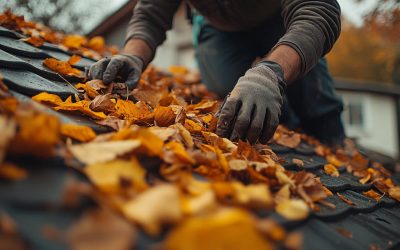 Falling Leaves, Rising Issues: A Guide to Autumn Roof Maintenance