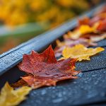 Roof & Gutter Care in Fall